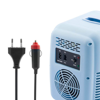 Réfrigérateurs mini-frigos thermoélectriques portables 12V pour cosmétiques, fournisseur
