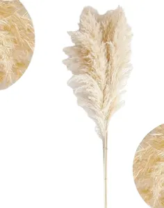 Flores Secas Pu Wei con Pelaje Gris, Cañas Grandes, Decoración de Boda Pu Wei, Estilo Nórdico, Pequeñas Cañas de Flores Secas - Product Image 4