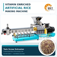 Machine de fabrication de riz artificiel enrichi en vitamines, ligne de production de riz fortifié (FRK), extrudeuse à double vis