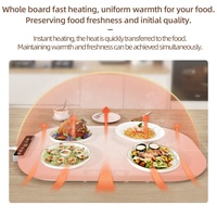 Tapis chauffant alimentaire électrique en silicone personnalisé 320W 110-240V certifié CE pour réchauffer la table