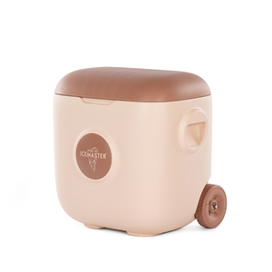 Glacière rigide isotherme compacte de 30 L pour usage personnel lors de pique-niques et de courts séjours - Product Image 1