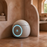WC intelligent monobloc en forme d'œuf, blanc brillant, avec LED d'ambiance, chasse d'eau automatique, bidet, siège chauffant et désodorisant pour salle de bain intelligente