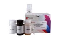 Kit de dosage de l'ammoniac sanguin Solarbio pour la recherche scientifique