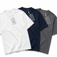 T-shirts de qualité supérieure 300 g/m² - Lot de 3 - Coton peigné vierge pour impression haut de gamme