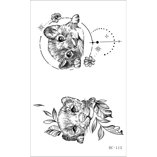 HC113    เอชซี113