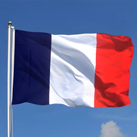 Drapeau de la France bleu blanc rouge personnalisé 3x5ft avec œillets pour accessoires d'affichage