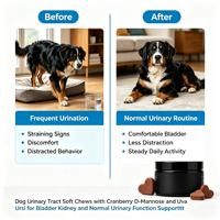 Friandises à mâcher pour le soutien de la vessie chiens chats santé des voies urinaires canneberge D-Mannose friandises molles suppléments pour animaux de compagnie marque privée OEM