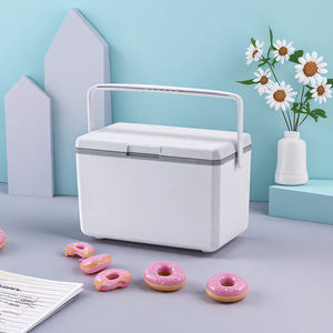 9-литровый термоконтейнер: Акция на изготовление индивидуальных торговых марок – идеальный подарок для предприятий. Термоконтейнер из пенополиуретана. - Product Image 2