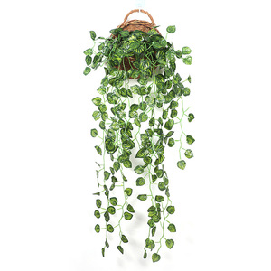 Plante artificielle suspendue Xinchengzhi Pothos 30cm-100cm, vigne murale décorative en soie verte pour décoration de mariage - Product Image 5