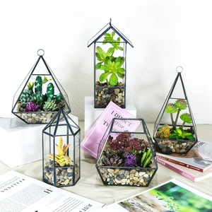 <span class=keywords><strong>Terrarium</strong></span> en verre de maison de fleur géométrique hexagonale d'or pour Pot de plante succulente de table - Product Image 5