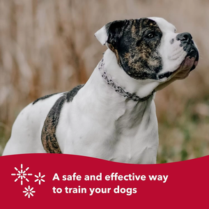 Kalung Anjing NIBAO Berlapis Krom, Kalung Koreksi dengan Penjepit untuk Anjing Kecil, Sedang, dan Besar - Product Image 6