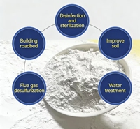Oxyde de calcium de haute pureté 95% (poudre de chaux vive) – Déshydratant de qualité industrielle et agricole, matière première de calcaire pour la construction