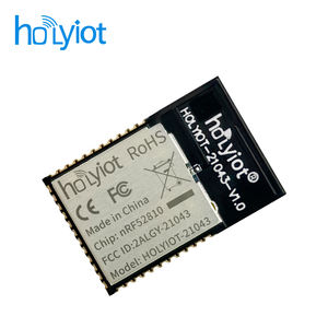 <span class=keywords><strong>Module</strong></span> émetteur-récepteur sans fil Bluetooth Holyiot NRF52810 2,4 GHz Ble5.3 avec antenne PCB - Product Image 6