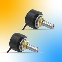 Capteur rotatif magnétique WLH22E avec sortie de signal analogique SER PWM SSI SPI 0-5V 0-10V 4-20mA