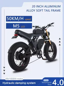 New Lithium Battery 41AH 1500W Powerful Rear Hub Motor 7 Speed Off Road Sport Mountain E Bicycle Adult Motorcycle Electric Bike
