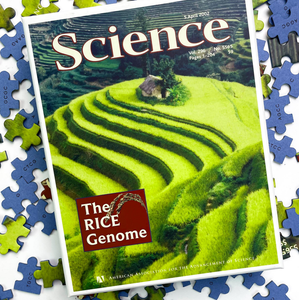 Puzzle 1000 pièces anti-stress, puzzles en papier, jeux <span class=keywords><strong>de</strong></span> <span class=keywords><strong>société</strong></span> pour adultes, puzzle lumineux haute définition - Product Image 1