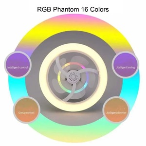 Ampoule Ventilateur de Plafond E27 avec Lumière LED, Télécommande, Couleurs RGB Dimmables, Lampe Ventilateur pour Éclairage Domestique - Product Image 4