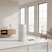 Vente chaude Purificateur d'air à filtre HEPA de grande capacité pour la maison intelligente rechargeable sur le bureau à haute efficacité pour la chambre à coucher