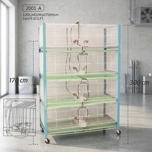Cage en métal Crown 2001-A pour oiseaux et perroquets - Robuste et durable - Product Image 3