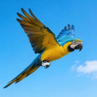 Traceur d'Oiseaux BT Étanche IP67 2,2g avec Précision de 180m et Recharge Magnétique pour la Protection des Espèces Menacées