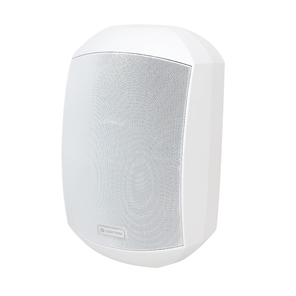 T Waterproof Wall Mont Speaker Outdoor Indoor Optional Weather-proof Indoor Wall Mounted Speakers · image 3