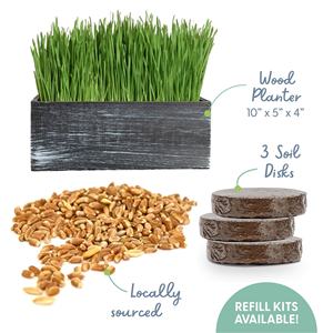 Kit d'<span class=keywords><strong>herbe</strong></span> à <span class=keywords><strong>chat</strong></span> biologique avec jardinière en bois rustique pour la maison, le jardin, l'extérieur, l'intérieur et la pépinière. - Product Image 2