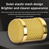 Microphone à condensateur professionnel BM800, kit complet, micro de studio filaire Type C, bras articulé, support antichoc, filtre anti-pop, éclairage RGB, carte son