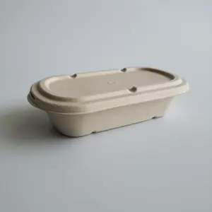 biodegradable wheat straw paper pulp food box