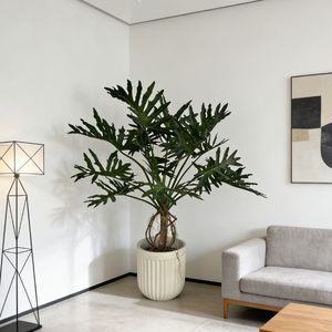 <span class=keywords><strong>ต้น</strong></span>ไม้ปลอมฟิโลเดนดรอนพรีเมียมในกระถางปูนซีเมนต์ ตกแต่งบ้าน สำนักงาน โรงแรม สไตล์โมเดิร์น เหมือนจริง - Product Image 3