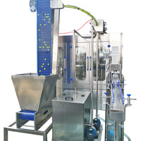 Machine de remplissage automatique complète de bouteilles PET de A à Z pour ligne de production d'eau minérale pure