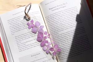 Marque-page en fleurs séchées pressées avec des marguerites, des hortensias et des fleurs sauvages, cadeau d'anniversaire pour homme et femme - Product Image 6