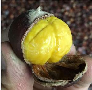 Usine de saveur concentrée d'extraction naturelle saveur d'huile de châtaigne chinoise de qualité alimentaire pour gâteaux et biscuits - Product Image 2