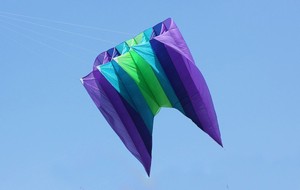 ปรับแต่ง9sqm <span class=keywords><strong>Big</strong></span> Pilot Inflatable Power Kite - Product Image 2