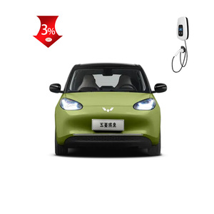 2023 Latest ululing Bingo INI leclectric Car 203/333km 4 plazas atatchback Lchargeable chargeable echargeable UTE EW Energy hicehile para niña - Product Image 6