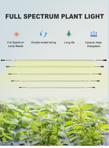 Tube LED de culture personnalisé T8, spectre complet 3000K 5000K UV IR pour serre, culture verticale, légumes, fruits, plantes - Product Image 5