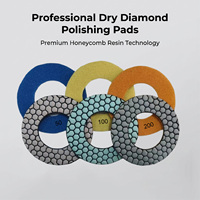 Disque de polissage diamanté alvéolé de 5 pouces pour pierre, grain 50-3000, utilisation humide ou sèche