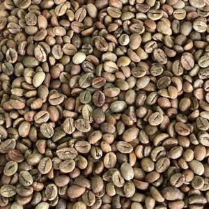 Granos de café verde Robusta de Vietnam Pureza 95 a 99% Tamaño 16 A Plus Grade Natural Bulk 60Kg Bolsas Premium Export - Product Image 3