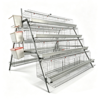 Système de cages automatiques de type A pour poulets pondeurs, équipement d'élevage avicole galvanisé pour 5000 oiseaux