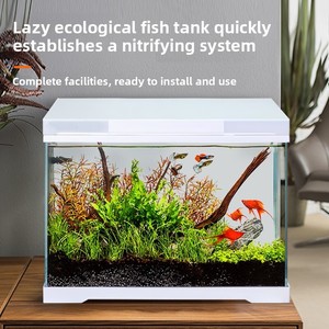 Petit réservoir d'<span class=keywords><strong>aquarium</strong></span> de bureau ultra-blanc Réservoir à poissons en verre écologique avec poisson rouge pour bureau ou salon 220V - Product Image 6