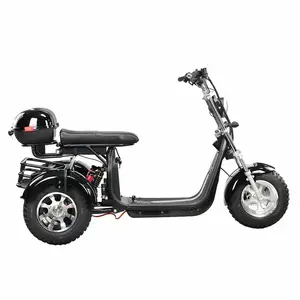 3 바퀴 사용자 정의 2000W 64V 납 산 배터리 성인용 고품질 높은 베어링 트레킹 전기 오토바이