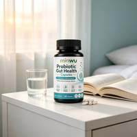 Capsules Probiotiques Véganes Sans Sucre pour Adultes Après Récupération Post-Antibiotiques, pour la Santé Intestinale, le Soutien Digestif et Immunitaire