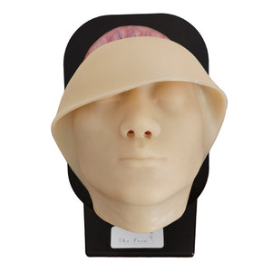 Modèle vasculaire et nerveux facial en silicone - Outil pédagogique d'anatomie de la tête humaine pour la formation médicale - Product Image 6