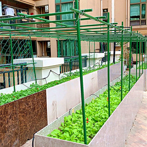 <b>6ft</b> 8ft Fiberglass Support Plant Stakes FRP Rods/Poles Corrosion Resistant Cutting Service 15-Year Reusable for <b>Tree</b> Nursery - Product Image 5