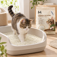 Litière pour chat en manioc agglomérante, faible teneur en poussière, agglomération rapide, jetable dans les toilettes, à base végétale, Arena Para Gatos, usine OEM
