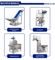 Industriële koelband voor pinda-, cashew- en amandelroostermachines