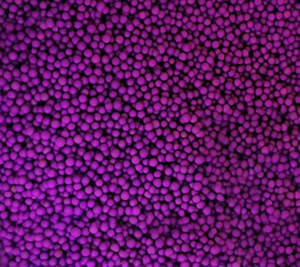 Assorbitore <span class=keywords><strong>di</strong></span> etilene viola attivato allumina palla <span class=keywords><strong>permanganato</strong></span> <span class=keywords><strong>di</strong></span> potassio - Product Image 5