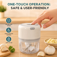 Procesador de Alimentos Inalámbrico de 5W con Carcasa de Plástico para Jengibre, Chile, Frutas, Carne, Especias, Frijoles - Nuevo Molinillo de Ajo de 250ML