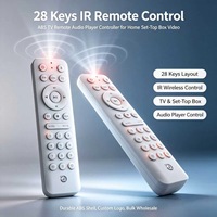 Control Remoto JCXK de 28 Teclas con Activación por Voz para Televisor Inteligente OEM ODM