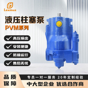 Pompe à pistons variables Vickers Eaton PVM074, 1 étage, montage à bride, pompe à huile hydraulique pour machines d'ingénierie - Product Image 3