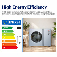 Pompe à chaleur air-eau R290 à compresseur EVI DC Inverter A+++ ErP haute efficacité pour chauffage, refroidissement et chauffe-eau domestique